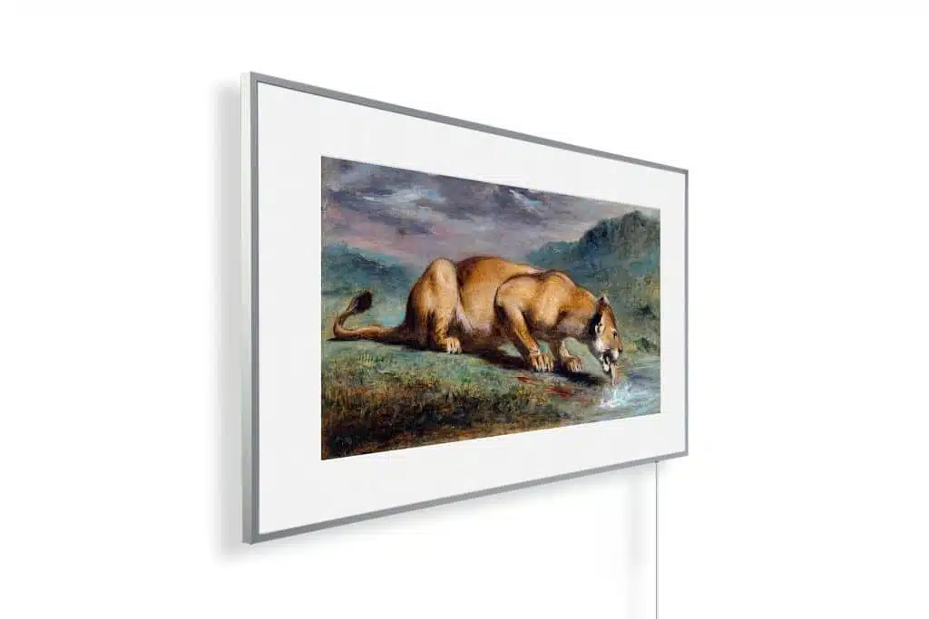 Pierre Andrieu - Wounded lioness