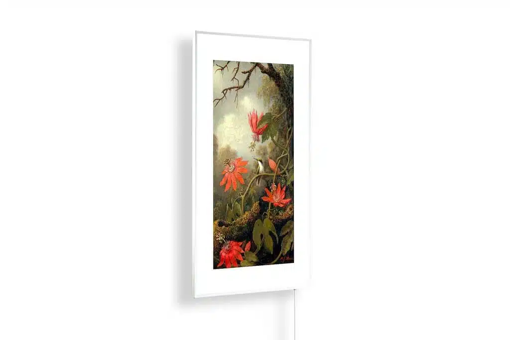 Martin Johnson Heade - Passion flowers and hummingbirds