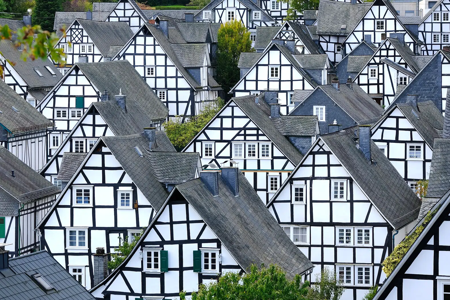 Beitragsbild